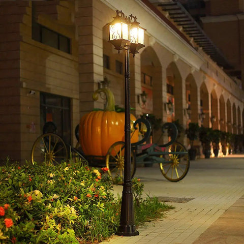 Top Shelf Dual Head Outdoor Led Street Light With Slick Water Wave Glass And Heavy Duty Aluminum Pole in a garden at night.
