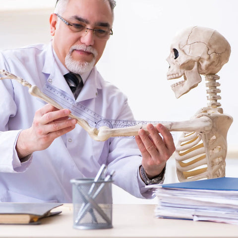 Physical therapist using Six Piece Spinal Goniometer Set With 360 Degree Protractor And Finger Goniometer on skeleton arm