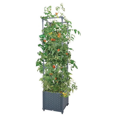 Raised Garden Bed Planter Boxes With Trellis For Climbing Vegetables And Tomatoes And Tomato Cage, Heavy Duty Plant Support
