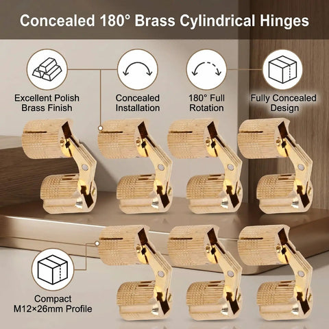 Polished Brass Hidden Cabinet Hinges 12mm Cylindrical Concealed Hinges with 180 Degree Opening for wood projects