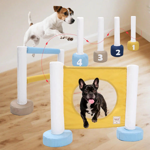 Indoor Dog Agility Training Kit 3 In 1 with jump ring, double bar hurdle, and pole fence for small dogs in home setup