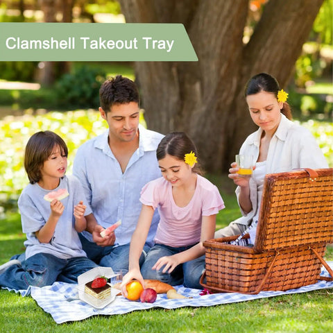 Family picnic using 100 Pack Clear Plastic Square Hinged Food Containers With Clear Lids For To Go Meals Clamshell Takeout Trays.