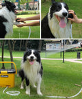 Compact Portable Pressure Washer With 5 Gallon Tank And 255 Psi For Easy Car Washes Pet Bath Home And Patio Cleaning Plus A Camper Friendly 45 Minute Runtime For Off Grid Adventures spraying water on a happy dog outdoors.