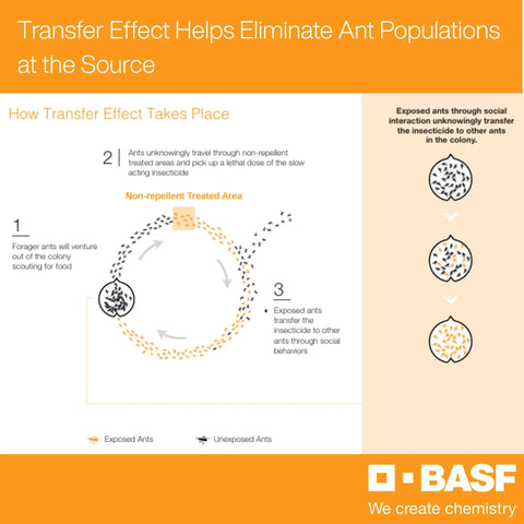 Water Soluble Granule Insecticide infographic showing transfer effect on ant population control, non-repellent treated area.