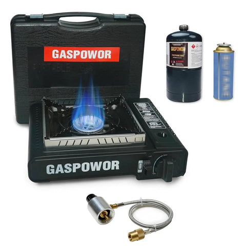 Dual Fuel Camping Stove With Wind Blocker 10000 BTU Portable Propane Or Butane Stove Auto Ignition Includes Adapter Hose