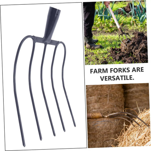 Heavy Duty Five Point Manure Fork For Garden And Farm Cleanup Handheld Tool For Clearing Grass Debris And Manure In Rural Yards Durable Farm Implement Built To Last shown in use