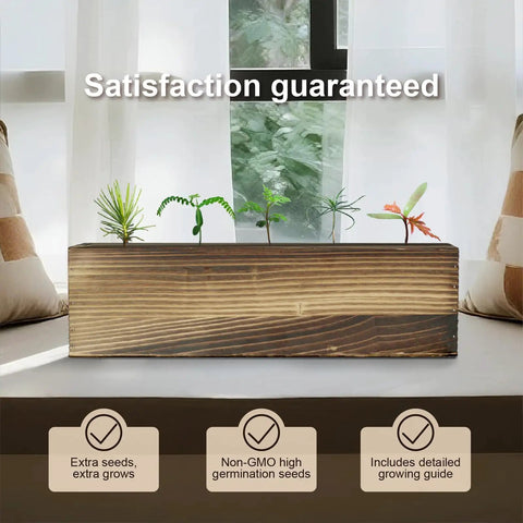 Five Pack Bonsai Tree Kit With Full Tools And Seed Packets Indoor Starter Kit In Wooden Box Easy Grow For Beginners Display