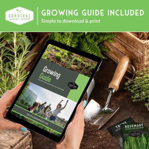 Person holding a tablet displaying a growing guide in a garden setting with gardening tools and thyme seeds in the background.