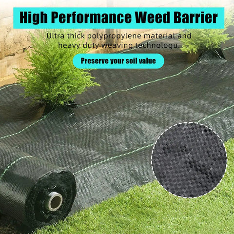 Heavy Duty 6 By 300 Ft Weed Barrier Landscape Fabric Three Point Two Oz Ground Cover Garden Mat on soil with shrubs.
