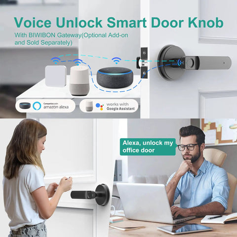 Smart Fingerprint Door Lock With App Control And Keyless Entry, 100 Fingerprint Capacity Biometric Door Knob shown with voice control setup