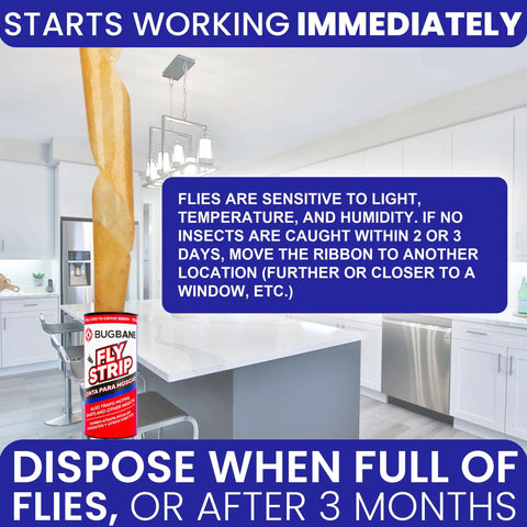 Heavy Duty Indoor Fly Strips With Stainless Hanging Hooks, Odor Free Sticky Bug Tape For Fruit Gnats And Houseflies, Nontoxic Pest Control Ribbon That Snags Hard in a modern kitchen setting.
