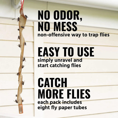 No Sweat Fly Trap Sticky Fly Paper Strips For Pesky House Flies Odorless Mess Free Hanging Pest Control Solution Eight Pack hanging with flies.