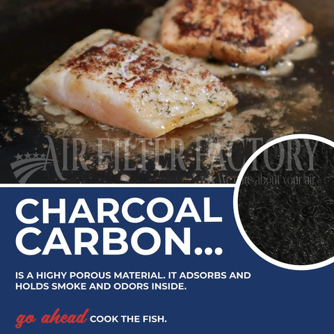 Charcoal Carbon Filter Replacement For Frigidaire Microwave Oven 5304464577 2 Pack Keeps Your Kitchen Microwave Fresh And Smelling Clean With Easy Swap, image of cooked fish.