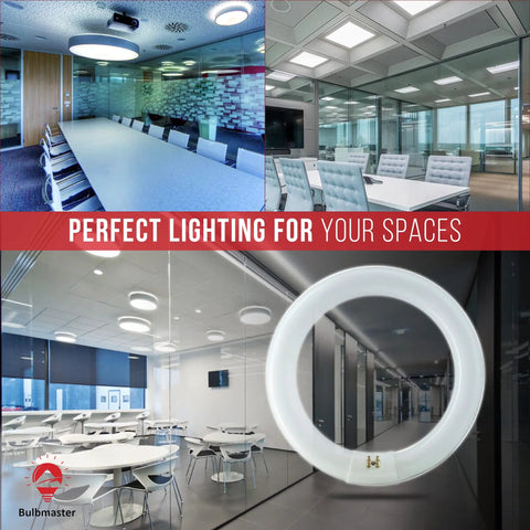 22W 8 Inch Round T9 Fluorescent Circline Light Bulb Cool White 4100K shown in various office lighting setups