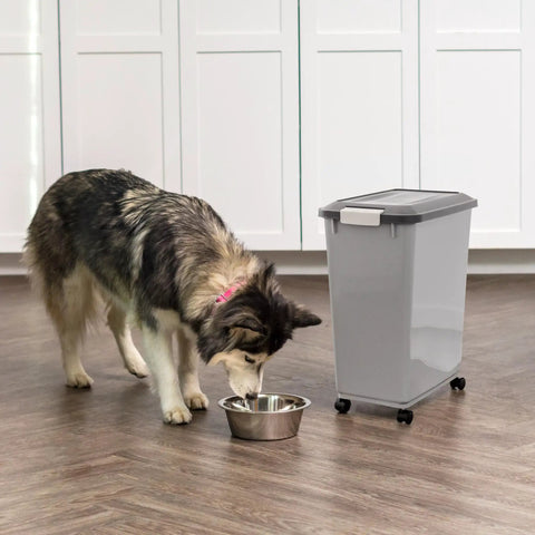 Dog near portable 40Lb pet food storage bin with wheels, airtight lid, built-in scoop in lid, BPA free, durable gray dog food organizer.
