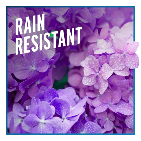 Purple flowers with text highlighting rain resistance in the Deer And Rabbit Repellent Concentrate 40 Ounces Year Round Garden Spray.