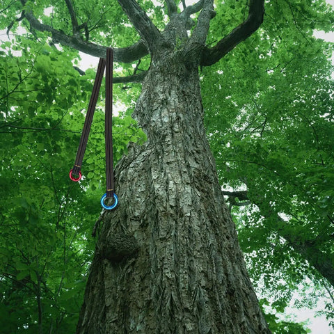 Pro Grade Arborist Friction Saver Tree Climbing Sling With Bomber Polyester Webbing And Lightweight Aluminum Carabiner on tree