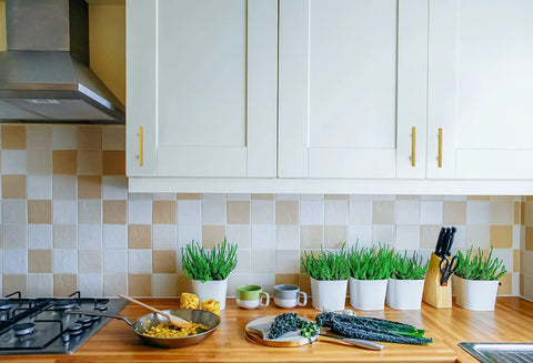 White kitchen cabinets with Euro style modern hardware, featuring matte black cabinet pulls and a countertop with plants.