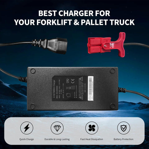 Heavy Hitter 29.4 Volt 6 Amp Forklift Battery Charger For Hella Fast Lithium Ion Charging with power plug and connector.