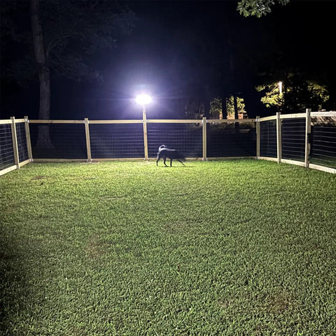 Outdoor Solar Flood Light With Motion Sensor, 416 LEDs Delivers 3000 Lumens Of Serious Brightness, lighting up a fenced yard at night