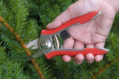 ColorPoint Stainless Steel Compact Pruning Shears With Quarter Inch Cutting Capacity, held in hand among green foliage