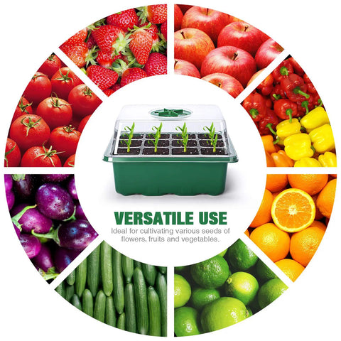 120 Cell Seed Starter Kit With 10 Seedling Trays 12 Cells Each Humidity Dome Green Base with seedlings, surrounded by fruit and veggie images