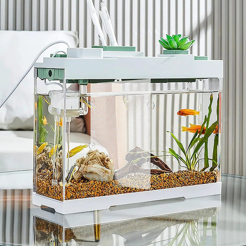 Large Fish Tank Divider Set With Adhesive Mounts And Tie Wraps, Cuttable Adjustable Aquarium Separator Panel For Isolating Bettas in a clear fish tank.