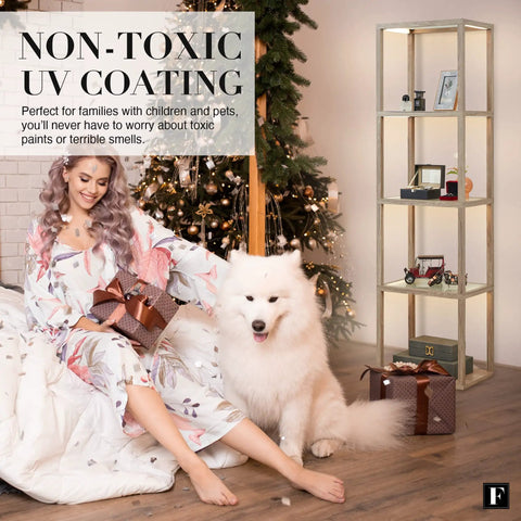 LED Display Shelf With Dimmable Lighting For Collectibles, featuring a modern curio cabinet next to a woman and a large dog.