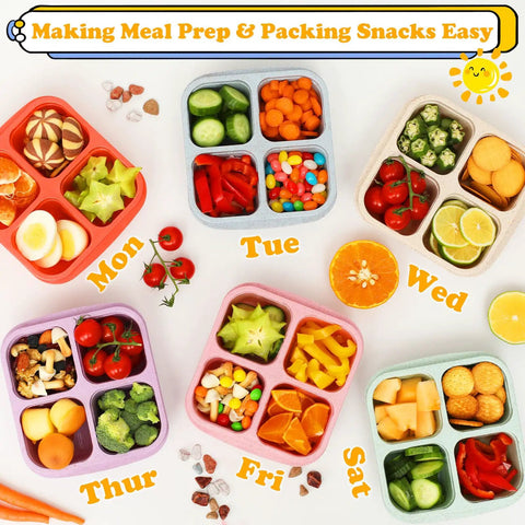 Six Pack Snack Containers With Four Compartment Divided Design, multicolor bento box for meal prep and snacks, top view