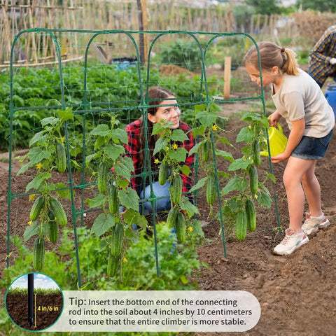 Two people using Metal Garden Arch Trellis For Climbing Veggies 50x48 Inch U Shaped Plant Support.