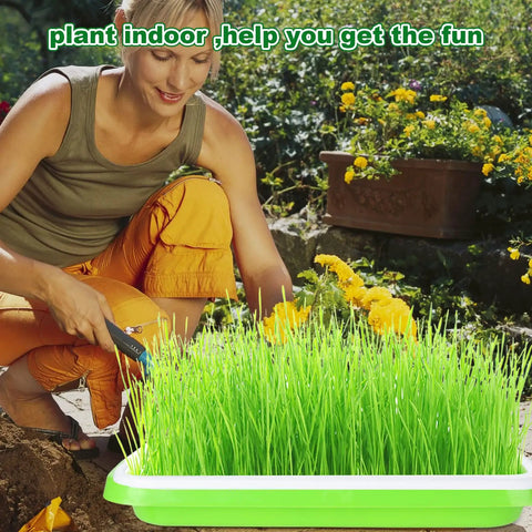 Woman using Six Pack Seed Sprouting Trays With Drain Holes BPA Free Plastic Germination Trays For Microgreens Wheatgrass