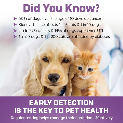 10 Parameter Urinalysis Test Strips For Pets A Complete Urine Test Kit For Dogs And Cats Including Leukocytes Glucose Bilirubin Ketones Specific Gravity Blood pH Protein Urobilinogen And Nitrite infographic with dog and kitten