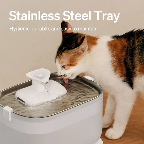 Cat drinking from No Fuss Cat Water Fountain With Stainless Steel Tray, Wireless Pump, Dual Flow Water Streams, 2.5L Automatic Pet Water Dispenser