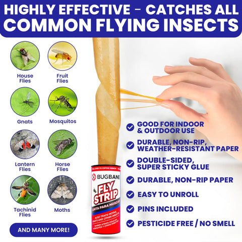 Heavy Duty Indoor Fly Strips With Stainless Hanging Hooks, Odor Free Sticky Bug Tape For Fruit Gnats And Houseflies, Nontoxic Pest Control Ribbon That Snags Hard with insects.