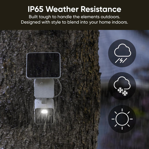 No Sweat Solar Security Camera Captures Crisp 2k Video Completely Wire Free Outdoor build with IP65 weather resistance mounted on a tree.
