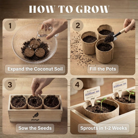 Steps to use Wildflower Seed Mix Growing Kit With Perennial And Annual Flowers, Burlap Planters, Soil Discs in wooden box