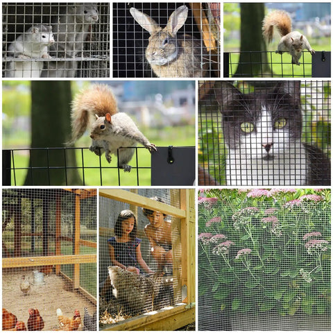 Heavy Duty 4 Inch By 10 Foot Wire Mesh Roll Built Tough Galvanized And PVC Vinyl Coated Hardware Cloth For Coop Fences Poultry Enclosures Screen Mesh And Rabbit And Snake Fences 23 Gauge One Quarter Inch Mesh displayed in various enclosures for animals and garden protection.