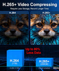 Comparison of video quality and compression between H.264 and H.265+ formats, with graphics highlighting data reduction.