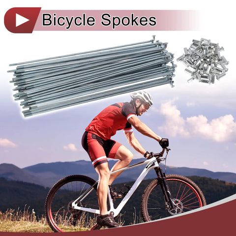 Pro Grade Bombproof Bicycle Wheel Spokes 48 Pack 10G Thread 215mm Carbon Steel Galvanized Heavy Duty Silver Bike Spare Parts For Rock Solid Rear Build Jobs with rider on mountain path.