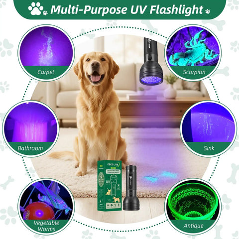 Ultimate UV Black Light Flashlight With 51 LEDs And 395 Nm Ultraviolet Beam For Pet Stains And Urine Detection, featuring uses like finding pet stains, scorpions, and more, with product packaging.