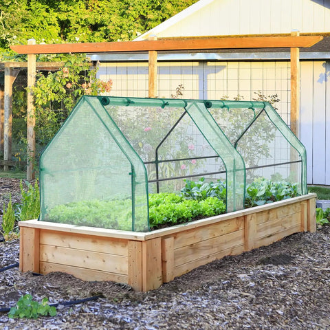 Portable Mini Greenhouse For Outdoors 71 By 36 By 36 Inch With Dual Large Zipper Doors Ground Stakes Waterproof And UV Protected Plastic Green House For Patio Garden Backyard No Tools Needed All Weather Ready