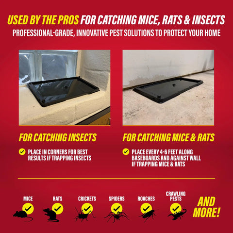 Heavy Duty Rat And Mouse Glue Traps 10 Pack Odorless Sticky Pest Control Pad Year Round Protection Ready To Use Indoors And Outdoors next to wall for effective pest trapping.