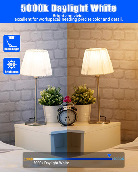 Table lamps showing lighting difference with Six Pack A19 LED Bulbs That Replace a 60W Bulb, 5000K daylight effect