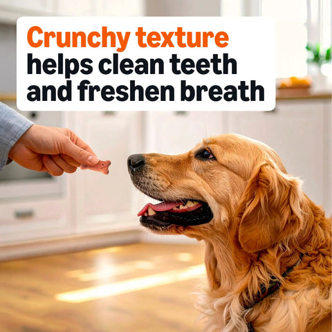 Premium Crunchy Multi Flavor Dog Biscuits Baked In Usa For Your Favorite Furbaby helping clean teeth shown with a golden retriever.
