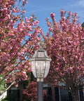 Monterey Two Light Outdoor Post Head Light In Brushed Nickel Finish With Solid Brass Construction And Clear Beveled Glass Classic Outdoor Lantern Built To Last For Porch Path Or Garden among cherry blossoms