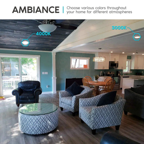 Living room with 8 Inch Flush Mount LED Disk Lights 3 Color Selectable 3000K 4000K 5000K Wet Rated Dimmable Low Profile Ceiling Light.