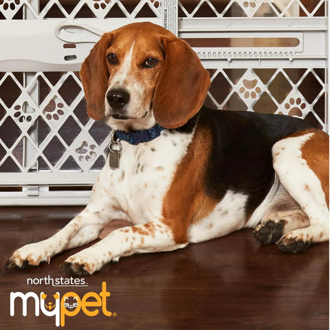 Dog near Hardware Mounted Pet Passage Gate With One Hand Door And Double Locking System, Easy Install On Straight Or Angled Walls