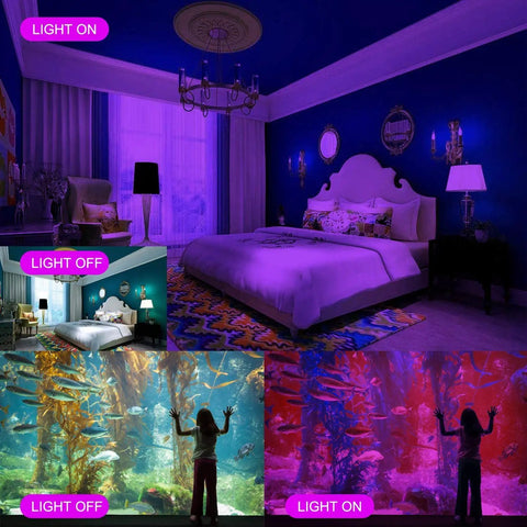 Bedroom and aquarium lit with 100W UV Black Light Flood Light With 6Ft Plug Cable Bright Purple Glow For Blacklight Parties