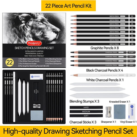 22 Piece Sketching Pencil Set For Drawing With Graphite Pencils 12B To 2H Plus Black And White Charcoal Pencils Charcoal Sticks