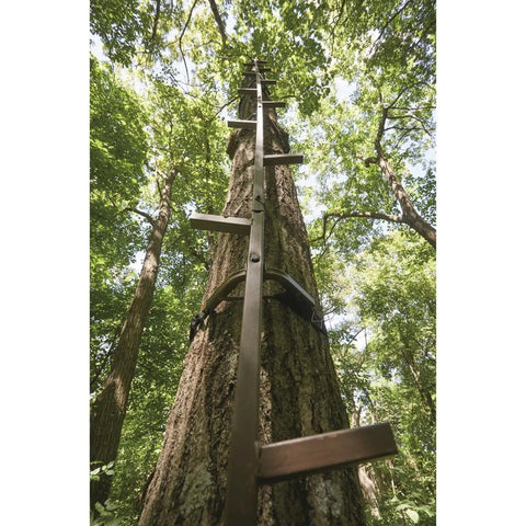 20 Ft Rapid Climbing Sticks For Tree Stands And Hunting, 4 Pack Of 5 Ft Sections attached to tree, outdoor view